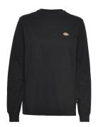 Ls Mapleton Tee W Dickies Black