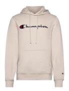 Hooded Sweatshirt Champion Beige