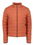 Arvid Usx Jkt Didriksons Orange