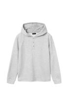 Nlmlaus Ls Sweat W. Hood LMTD Grey