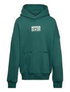 Cnvn Relaxed Flc Po Hoodie / Relaxed Flc Po Hoodie Converse Green