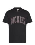 Aitkin Tee Dickies Black