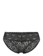 Halo Lace Bikini Brief Wacoal Black