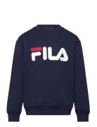 Babina Greda Classic Logo Crew Sweat FILA Navy