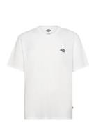 Summerdale Ss Tee Dickies White