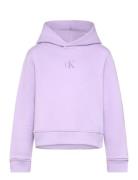 Ck Logo Boxy Hoodie Calvin Klein Purple