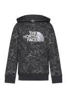 B Drew Peak P/O Hoodie Print The North Face Grey