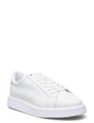 Angeline Iv Action Leather Sneaker Lauren Ralph Lauren White