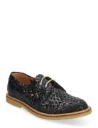 Shoes - Flat - With Lace ANGULUS Black