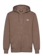 Summerdale Zip Through Dickies Brown