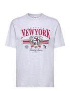 Tjw Rlx Vintage Prep 2 Tee Tommy Jeans Grey