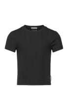 Cropped Rib T-Shirt Tom Tailor Black