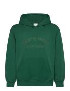 Tnlingo Os Hoodie The New Green