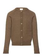 Tneve Glitter Cardigan The New Khaki