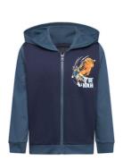 Lwscout 607 - Sweatshirt LEGO Kidswear Navy