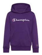 Hooded Sweatshirt Champion Purple