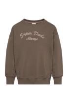 Sweatshirt Ls Minymo Brown