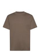 Hco. Guys Knits Hollister Brown