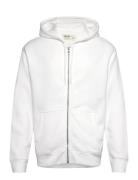 Hco. Guys Sweatshirts Hollister White