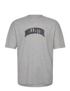 Hco. Guys Graphics Hollister Grey