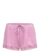 Short Velours Scallop Lace Hunkemöller Pink