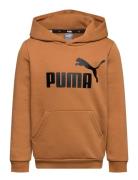 Ess Big Logo Hoodie Fl B PUMA Brown