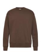 Sdlenz Crew Sw Solid Brown