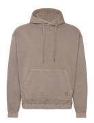 Rrandy Sweat Hood Over D Fit Redefined Rebel Brown