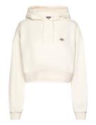 Oakport Cropped Hoodie Dickies Cream