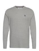 Uspa T-Shirt Ls Brolin Men U.S. Polo Assn. Grey