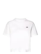 Oakport Boxy Ss Tee Dickies White