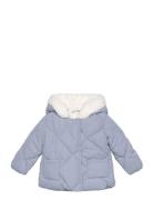 Hears Hood Quilted Coat Mango Blue