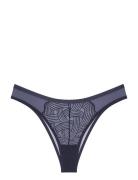 Delightful Spotlight Brazilian Triumph Blue