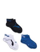 Puma Kids Bwt Quarter 3P PUMA Blue