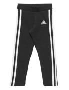 Lk 3S Tight Adidas Sportswear Black