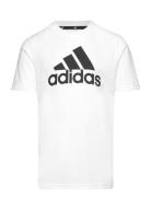 Lk Bl Co Tee Adidas Sportswear White