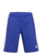 U 3S Wn Short Adidas Sportswear Blue