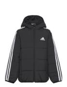 3-Stripes Padded Jacket Kids Adidas Sportswear Black