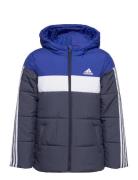 Padded Jacket Kids Adidas Sportswear Blue