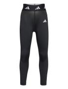 B Tf Tight Adidas Sportswear Black