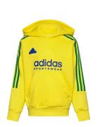 J Np Hoodie Adidas Sportswear Yellow