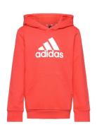 U Bl Hoodie Adidas Sportswear Red