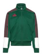 J Np Ttop Adidas Sportswear Green