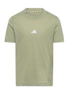 J D4T Tee Adidas Sportswear Khaki