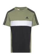 J 3S Tib T Adidas Sportswear Green