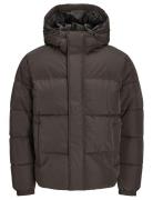 Jjebradley Puffer Hood Sn Jack & J S Brown