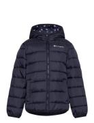 Hooded Jacket Champion Navy