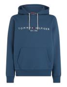 Tommy Logo Hoody Tommy Hilfiger Blue