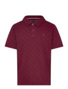 Checkboard Jacquard Reg Polo Ss Tommy Hilfiger Burgundy