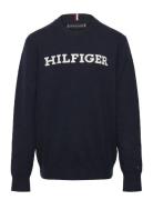 Monotype Regular Sweater Tommy Hilfiger Navy